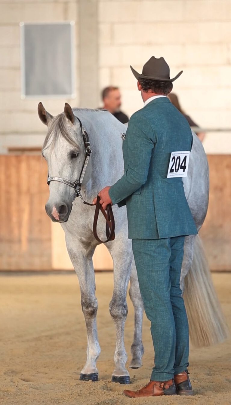 Philipp Dammann Showmanship at Halter