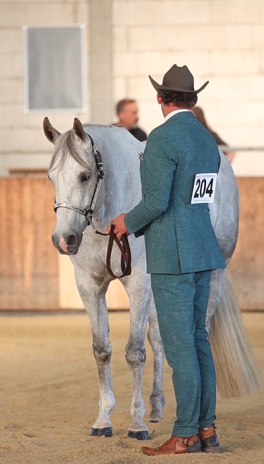 Philipp Dammann Showmanship at Halter